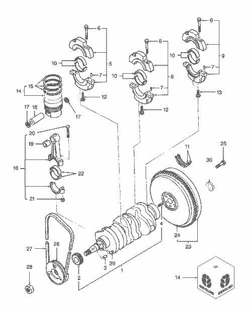 TC29DA 01-01.04 CRANKSHAFT & PISTONS