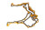 2830972 GASKET
