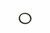 7888010 SHIM [PKG of 2]