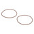 14465981 O-RING [PKG of 2]