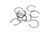 13421876 CIRCLIP [PKG of 10]