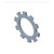 83925303 WASHER, LOCK [PKG of 10]