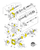 SBA322840940 PACKAGE, SEALS