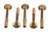 86512445 BOLT, CARRIAGE [PKG of 5]