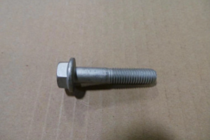 16587625 BOLT [PKG of 5]