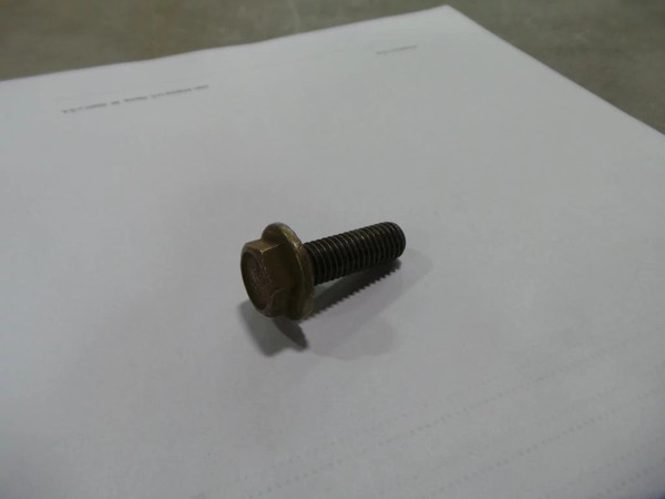 9804262 FLANGE BOLT [PKG of 5]