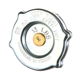 87749607 CAP, RADIATOR