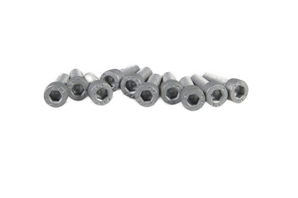 14306424 SCREW, HEX SOC [PKG of 10]