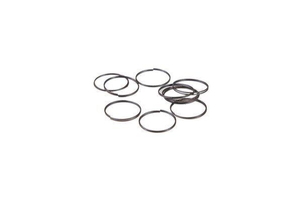 84289763 CIRCLIP [PKG of 10]