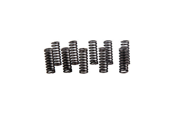 5120761 SPRING [PKG of 10]