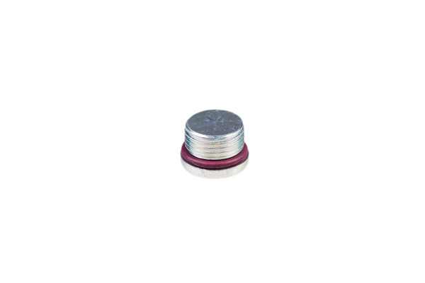 86625138 PLUG, HEX SOCKET
