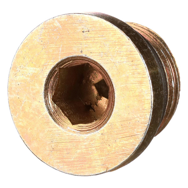 10119411 PLUG