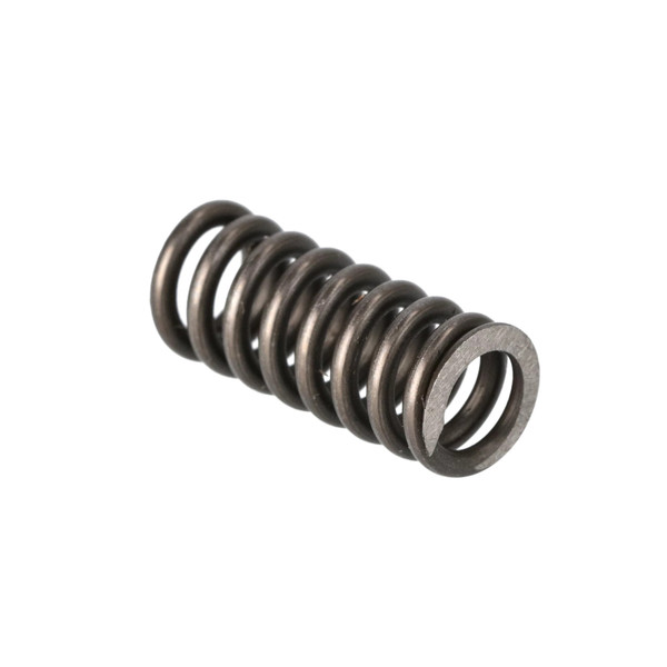 5128251 SPRING [PKG of 5]