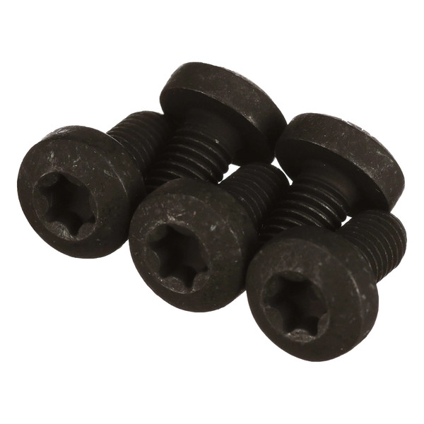 84187810 SCREW [PKG of 5]