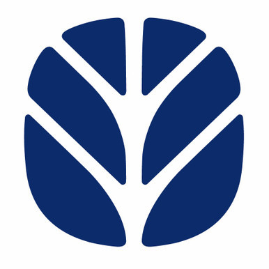 504062436C CORE-FUEL INJECTOR