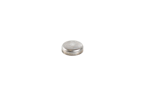 4895179 PLUG, EXPANSION