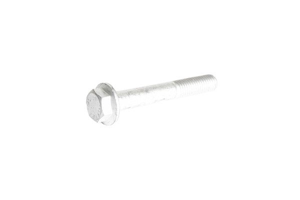 4893228 BOLT [PKG of 10]