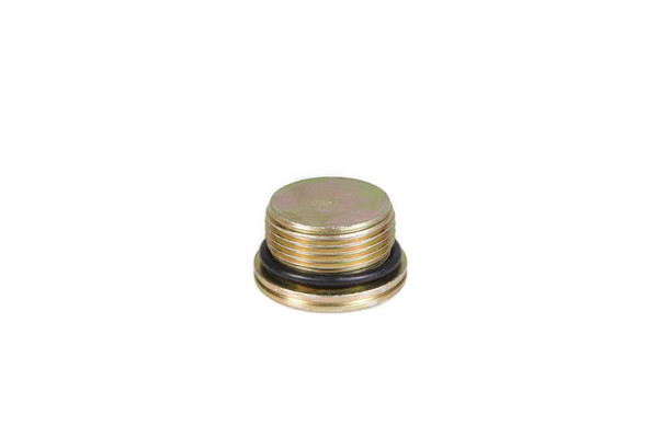 10119511 PLUG