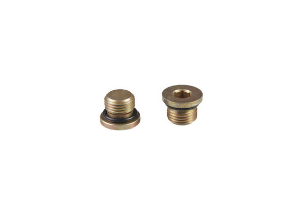 10119311 PLUG [PKG of 2]