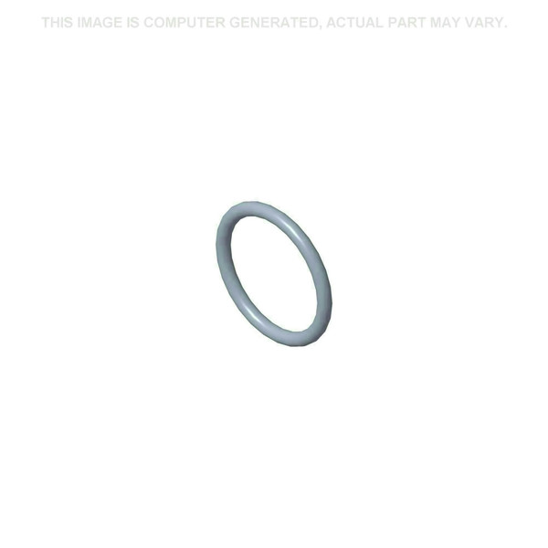 87679174 O-RING [PKG of 2][OUT OF STOCK]