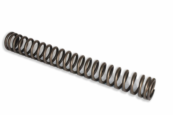 5094199 SPRING [PKG of 2]
