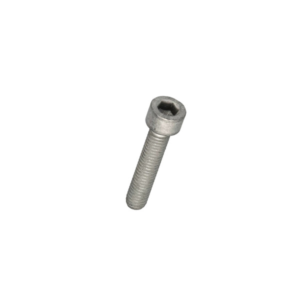 14305524 SCREW, HEX SOC [PKG of 10]