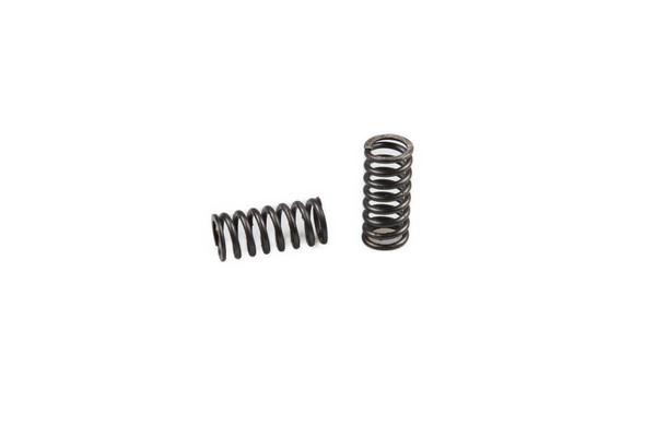 5105968 SPRING [PKG of 2]