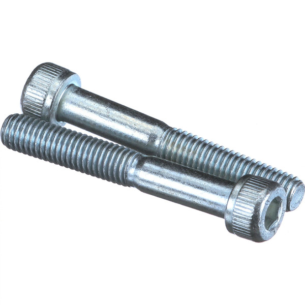 14302231 SCREW [PKG of 2]