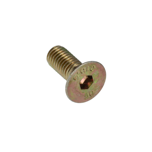 14442031 SCREW [PKG of 10]