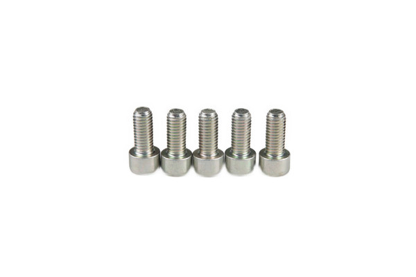 14302837 SCREW [PKG of 5]