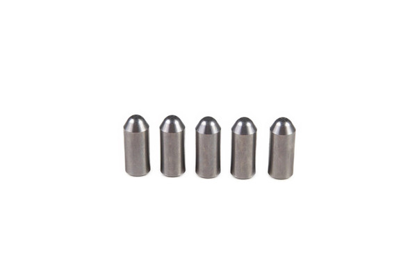 5166394 PAWL [PKG of 5]