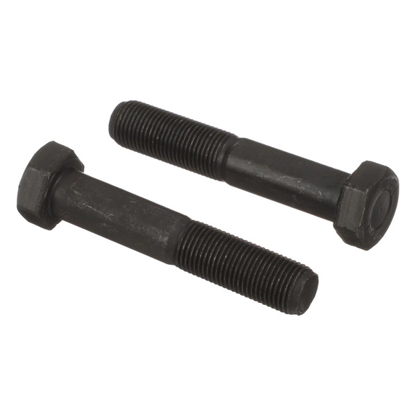15981437 SCREW [PKG of 2]