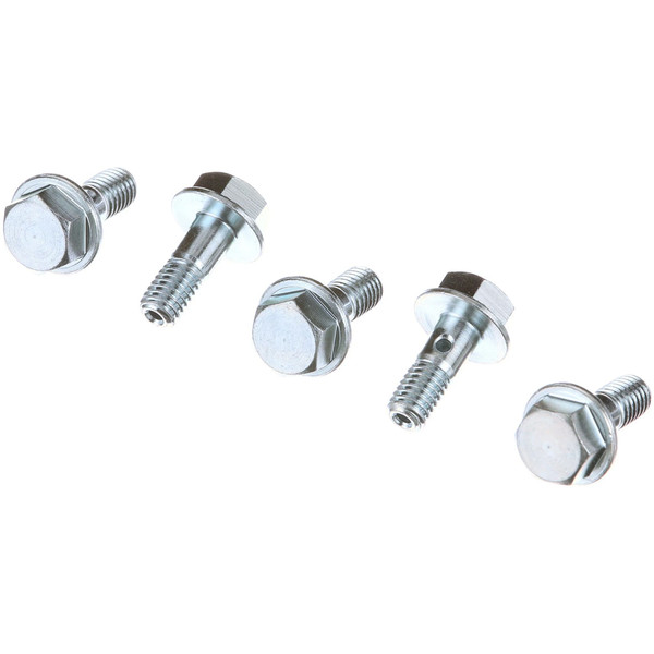 SBA198487460 BOLT, BANJO [PKG of 5]