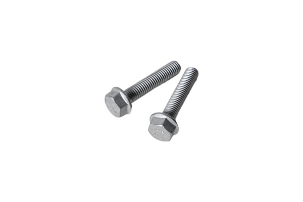 16674034 SCREW [PKG of 2]