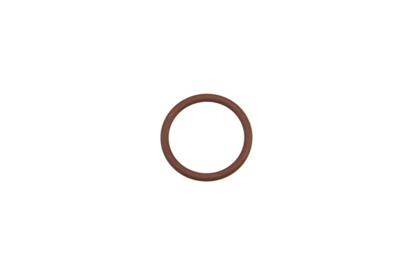 17289081 O-RING [PKG of 2]