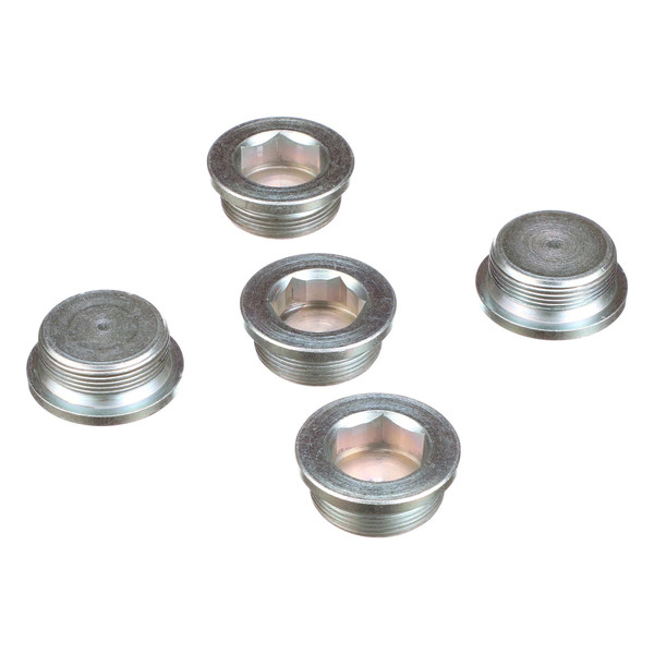 16993711 PLUG [PKG of 5]