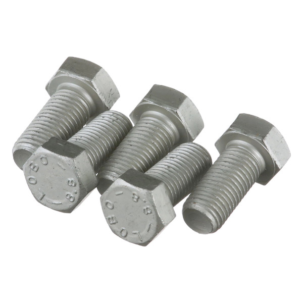 16249824 SCREW [PKG of 5]