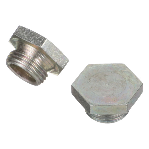 16992511 PLUG [PKG of 2]