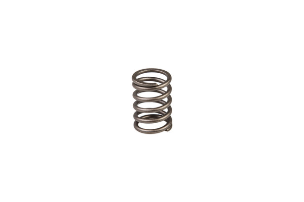 SBA198216700 SPRING, VALVE