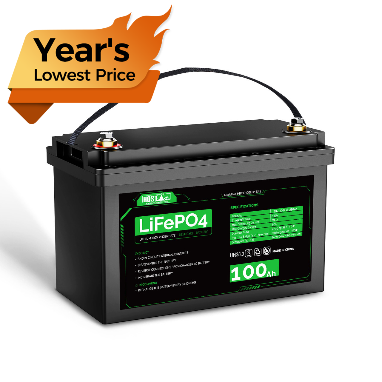 HQST 12 Volt 100Ah LiFePO4 Lithium Iron Phosphate Battery, Built-in  Optimized BMS with Low & High Temp Protection, Series and Parallel  Connection, for RVs, Boats, Solar System