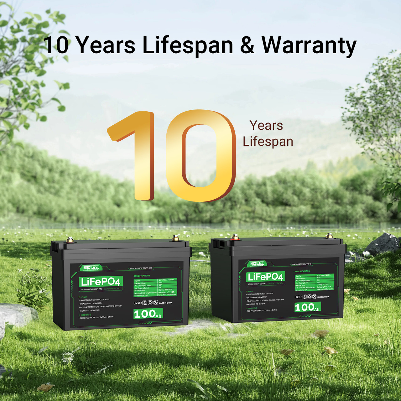 HQST 12V 100Ah LiFePO4 Lithium Iron Phosphate Battery(2 Pack)