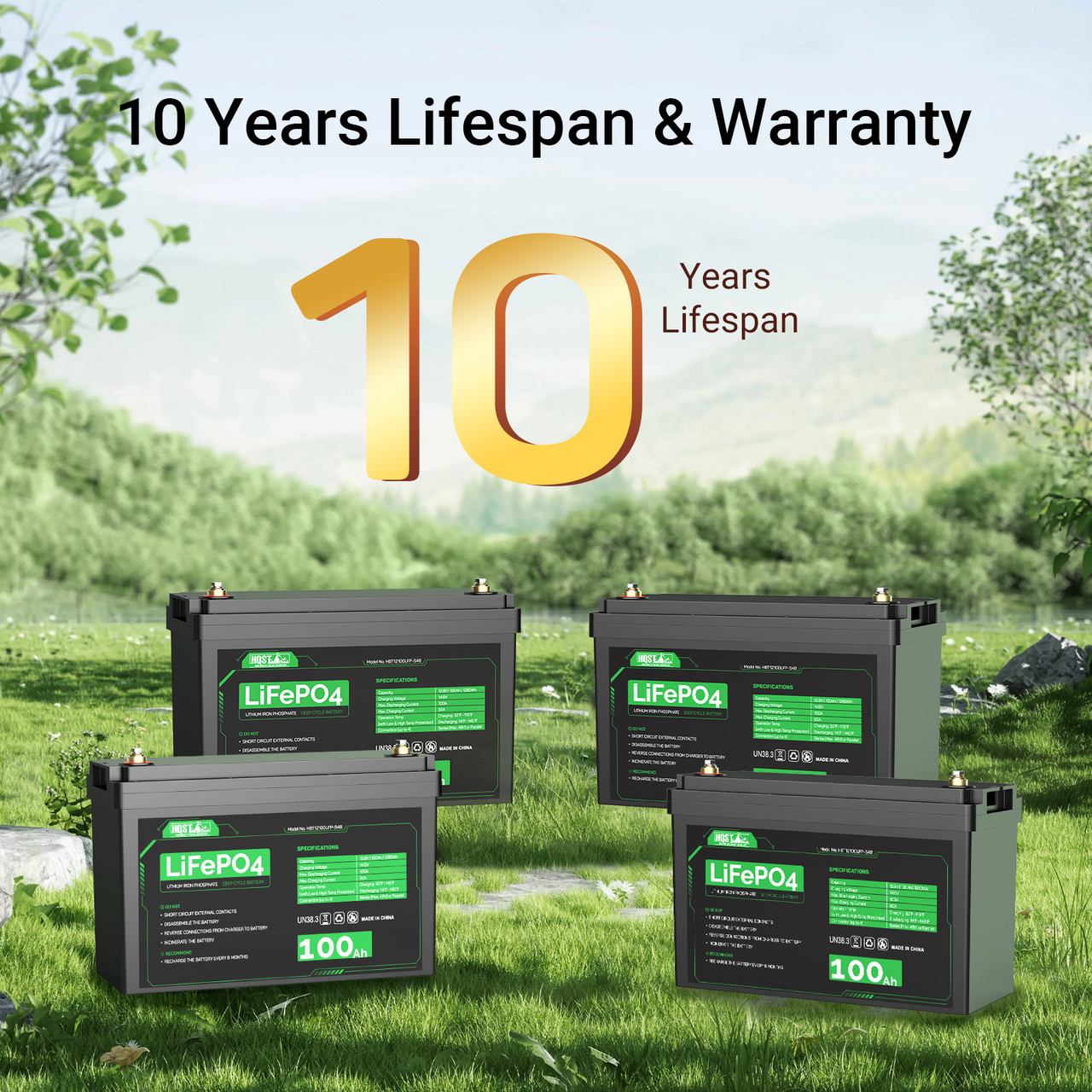 HQST 12V 100Ah LiFePO4 Lithium Iron Phosphate Battery(4 Pack)