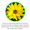 Arnica is a natural pain reliever and can heal bruises to the skin by helping to repair ruptured blood vessels. The anti-inflammatory properties will quickly reduce swelling.