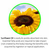 Sunflower Oil is easily & quickly absorbed into skin. Essential fatty acids are required to take impact(not created by the body) leaving the benefits only acquired by ingestion or topical application.