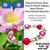 Painted Prairie Rose Iowa and North Dakota State Flower Glass Beaded Stretch Bracelet.