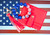 USA Wristlet Patriotic Gift Fiona Accessory Card Holder