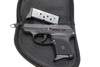 Ruger LCP In Case