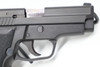 Sig Sauer P229 .40 S&W