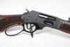 Henry H010G Side Gate .45-70 Government