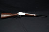 Henry Frontier H001TER Evil Roy .22S/L/LR